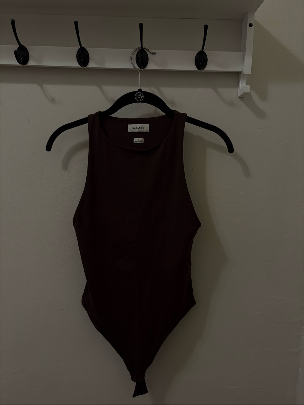 Aritzia Bodysuit in Deep Brown